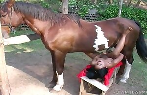 Tình dục động vật miễn phí với sự liếm dương vật